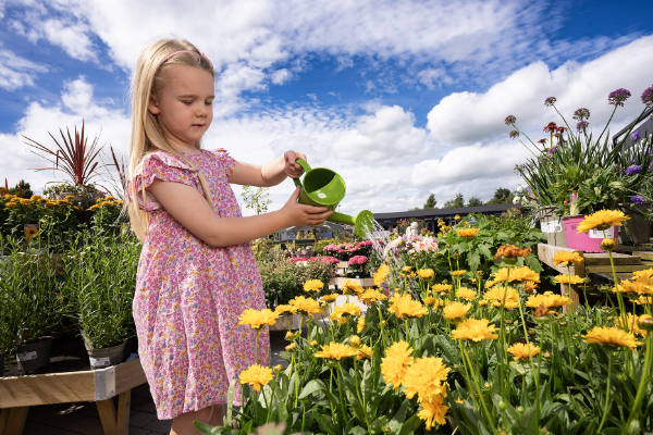 Get hands-on with tomato and flower growing at Cirencester garden centre