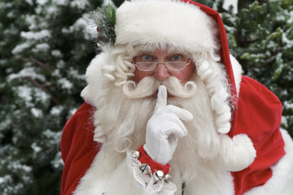 Dobbies calls for Santas and elves